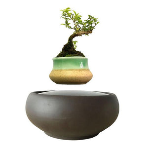 Blackout Base Levitating Air-Floating Bonsai Pot - stilyo