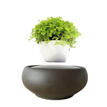 Load image into Gallery viewer, Blackout Base Levitating Air-Floating Bonsai Pot - stilyo
