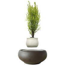 Load image into Gallery viewer, Blackout Base Levitating Air-Floating Bonsai Pot - stilyo
