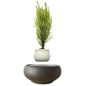 Blackout Base Levitating Air-Floating Bonsai Pot - stilyo