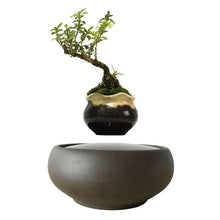 Load image into Gallery viewer, Blackout Base Levitating Air-Floating Bonsai Pot - stilyo
