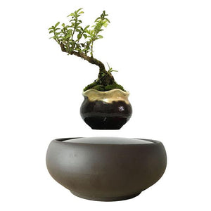 Blackout Base Levitating Air-Floating Bonsai Pot - stilyo