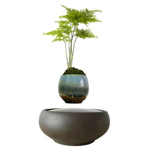 Blackout Base Levitating Air-Floating Bonsai Pot - stilyo