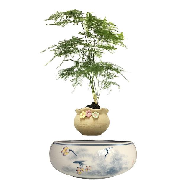 Yellow Flowers Ceramic Base Levitating Air-Floating Bonsai Pot - stilyo