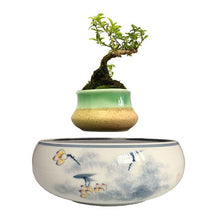 Load image into Gallery viewer, Yellow Flowers Ceramic Base Levitating Air-Floating Bonsai Pot - stilyo
