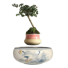 Load image into Gallery viewer, Yellow Flowers Ceramic Base Levitating Air-Floating Bonsai Pot - stilyo
