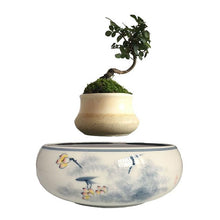 Load image into Gallery viewer, Yellow Flowers Ceramic Base Levitating Air-Floating Bonsai Pot - stilyo
