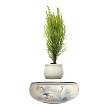 Load image into Gallery viewer, Yellow Flowers Ceramic Base Levitating Air-Floating Bonsai Pot - stilyo
