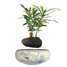 Load image into Gallery viewer, Yellow Flowers Ceramic Base Levitating Air-Floating Bonsai Pot - stilyo
