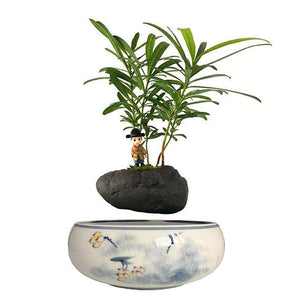 Yellow Flowers Ceramic Base Levitating Air-Floating Bonsai Pot - stilyo