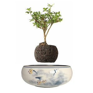 Yellow Flowers Ceramic Base Levitating Air-Floating Bonsai Pot - stilyo