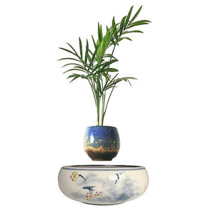 Yellow Flowers Ceramic Base Levitating Air-Floating Bonsai Pot - stilyo