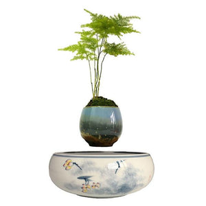 Yellow Flowers Ceramic Base Levitating Air-Floating Bonsai Pot - stilyo