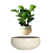 Load image into Gallery viewer, White Ceramic Base Levitating Air-Floating Bonsai Pot - stilyo
