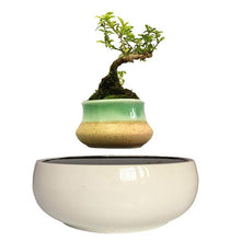 Load image into Gallery viewer, White Ceramic Base Levitating Air-Floating Bonsai Pot - stilyo
