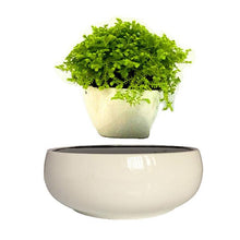 Load image into Gallery viewer, White Ceramic Base Levitating Air-Floating Bonsai Pot - stilyo
