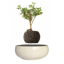 Load image into Gallery viewer, White Ceramic Base Levitating Air-Floating Bonsai Pot - stilyo
