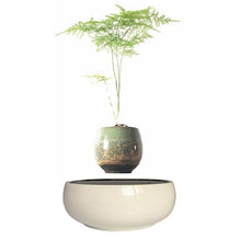 Load image into Gallery viewer, White Ceramic Base Levitating Air-Floating Bonsai Pot - stilyo
