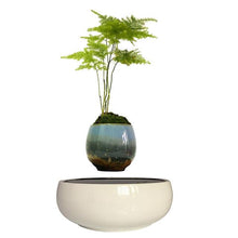 Load image into Gallery viewer, White Ceramic Base Levitating Air-Floating Bonsai Pot - stilyo
