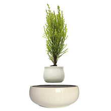 Load image into Gallery viewer, White Ceramic Base Levitating Air-Floating Bonsai Pot - stilyo
