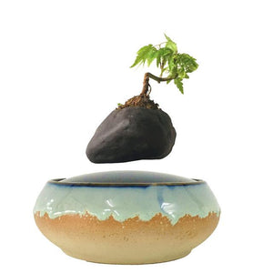 Seaside Base Levitating Air-Floating Bonsai Pot - stilyo