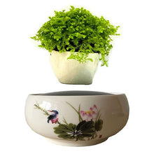 Load image into Gallery viewer, Song Bird White Ceramic Base Levitating Air-Floating Bonsai Pot - stilyo
