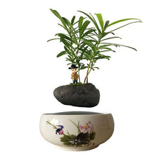 Load image into Gallery viewer, Song Bird White Ceramic Base Levitating Air-Floating Bonsai Pot - stilyo
