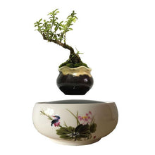 Load image into Gallery viewer, Song Bird White Ceramic Base Levitating Air-Floating Bonsai Pot - stilyo
