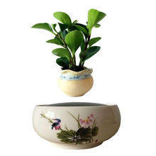 Load image into Gallery viewer, Song Bird White Ceramic Base Levitating Air-Floating Bonsai Pot - stilyo
