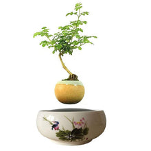 Load image into Gallery viewer, Song Bird White Ceramic Base Levitating Air-Floating Bonsai Pot - stilyo
