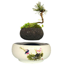 Load image into Gallery viewer, Song Bird White Ceramic Base Levitating Air-Floating Bonsai Pot - stilyo
