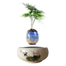 Load image into Gallery viewer, Song Bird White Ceramic Base Levitating Air-Floating Bonsai Pot - stilyo
