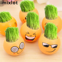 Load image into Gallery viewer, Creative DIY Emoji Grass Head - stilyo
