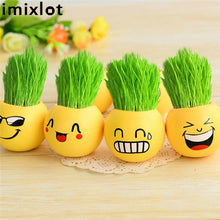 Load image into Gallery viewer, Creative DIY Emoji Grass Head - stilyo
