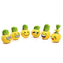 Load image into Gallery viewer, Creative DIY Emoji Grass Head - stilyo
