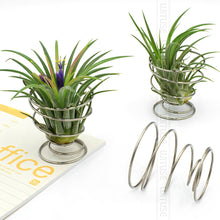 Load image into Gallery viewer, Wooden Metal Air Plant Holder - stilyo
