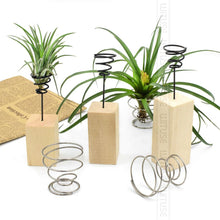 Load image into Gallery viewer, Wooden Metal Air Plant Holder - stilyo
