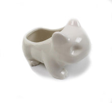 Load image into Gallery viewer, Cute Ceramic Bulbasaur Planter Flowerpot - stilyo
