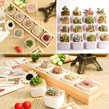 Load image into Gallery viewer, Square Box Decorative Container Garden Planter - stilyo
