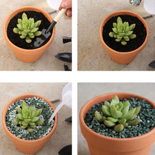 Load image into Gallery viewer, 10Pcs Small Mini Clay Pots - stilyo
