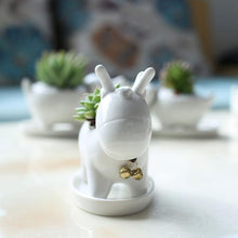 Load image into Gallery viewer, Deer Shaped Ceramic Planter - stilyo
