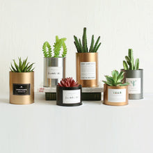 Load image into Gallery viewer, Metal Flower Containers Metal - stilyo
