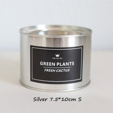 Load image into Gallery viewer, Metal Flower Containers Metal - stilyo
