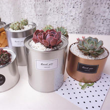 Load image into Gallery viewer, Metal Flower Containers Metal - stilyo
