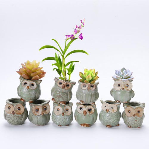 Mini Ceramic Owl Plant Pot (Random Design) - stilyo