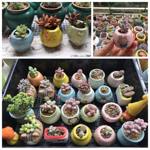 Mini Geometric Succulent Ceramics Planters - stilyo