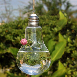 Light Bulb Shaped Hydroponic Plant Container - stilyo