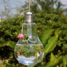 Load image into Gallery viewer, Light Bulb Shaped Hydroponic Plant Container - stilyo
