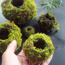 Load image into Gallery viewer, 6/9/12CM Green Moss Ball Flower Pot - stilyo
