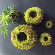 Load image into Gallery viewer, 6/9/12CM Green Moss Ball Flower Pot - stilyo
